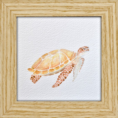 MINI ANIMAUX - TORTUE