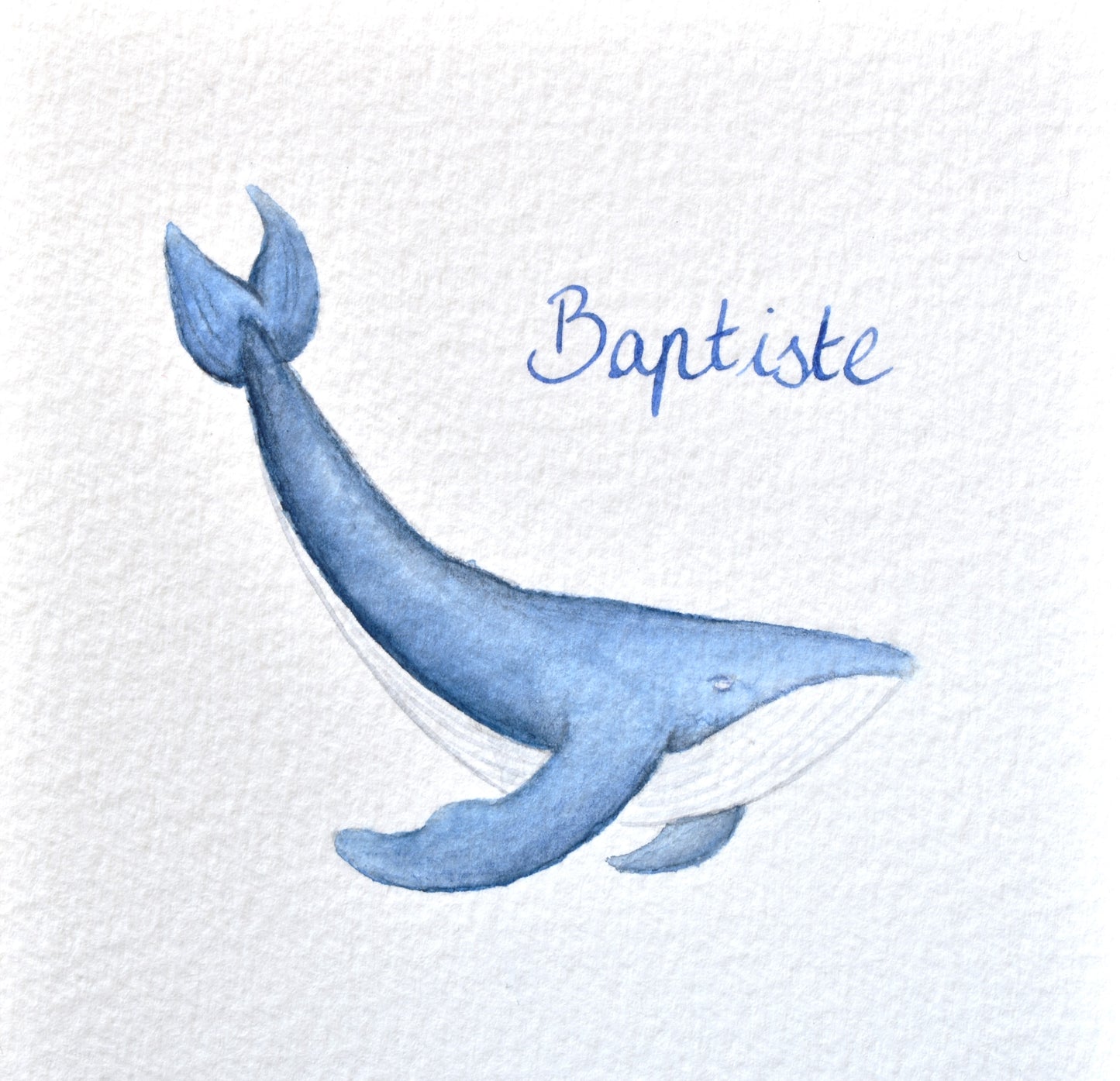 MINI ANIMAUX - Baleine