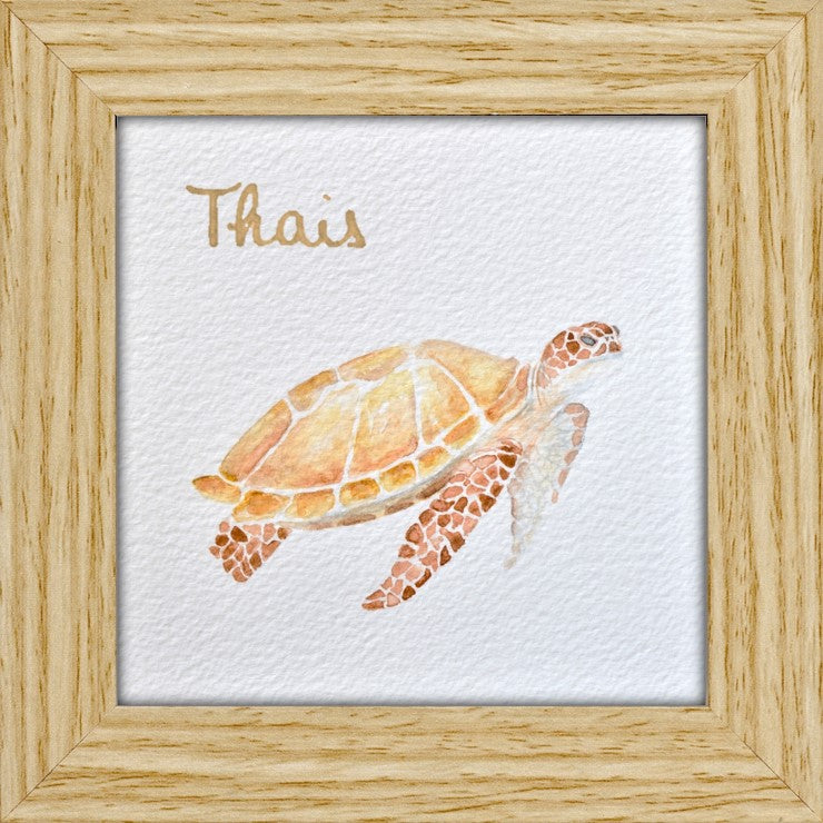 MINI ANIMAUX - TORTUE